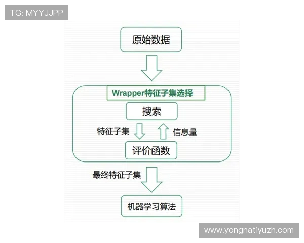 满冠体育在线的注册与登录流程详解，帮助新用户快速上手享受高清体育直播服务