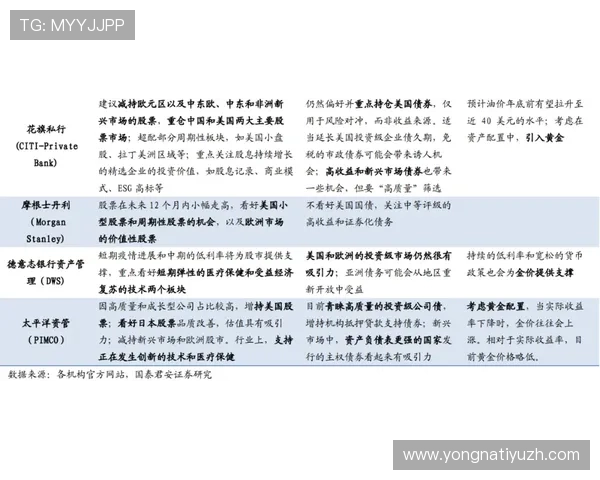 深入解析ku买球平台的优势与风险，助你做出明智的投注决策