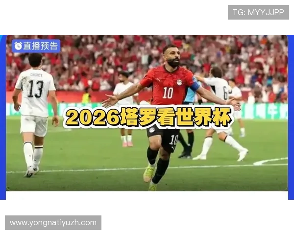 世界杯期间埃及与伊朗比赛风险提示,赛事安全与观众注意事项全攻略 世界杯期间埃及与伊朗比赛风险提示,赛事安全与观众注意事项全攻略